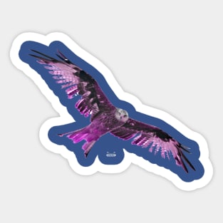 Eagle Pink Sticker